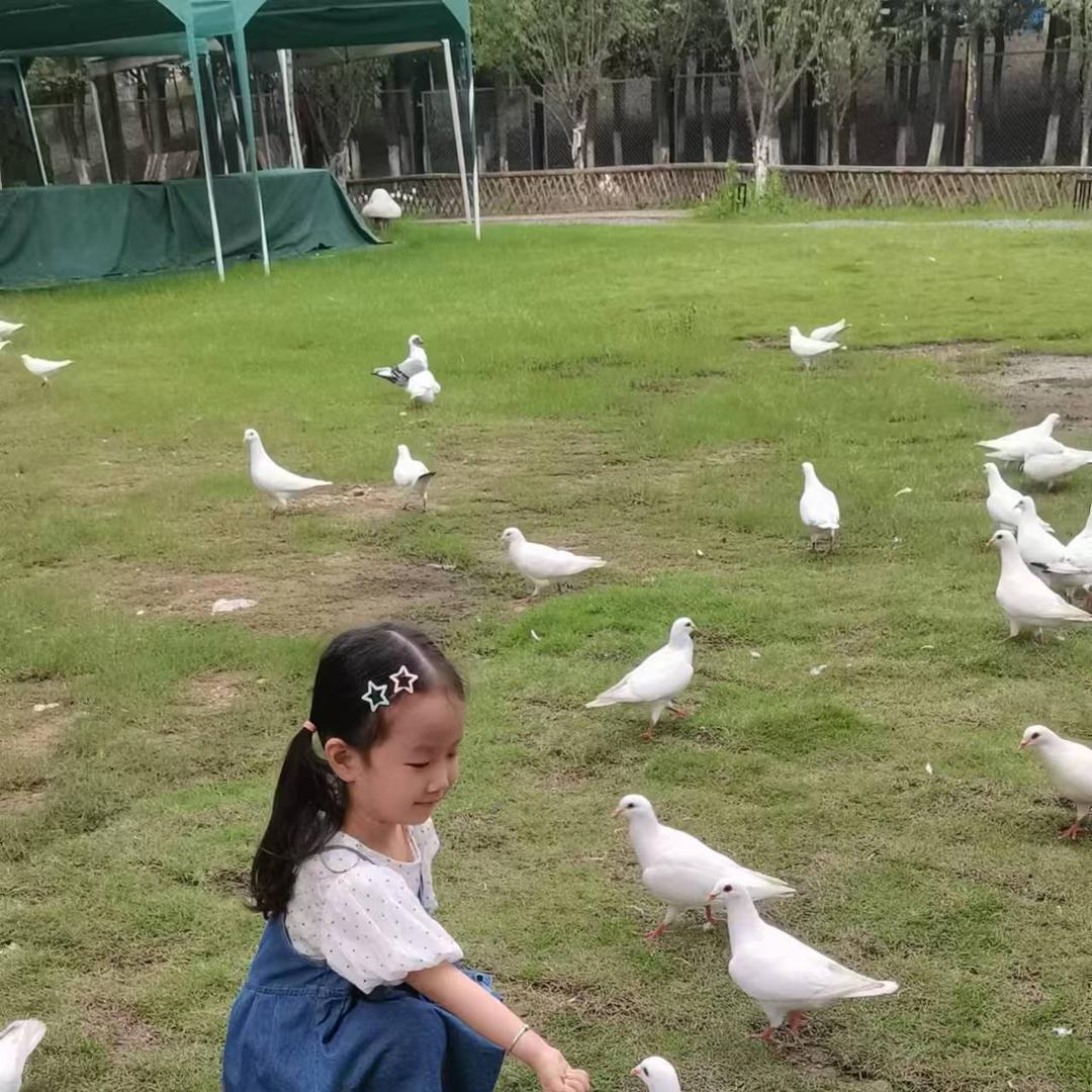 梓琪精品服饰