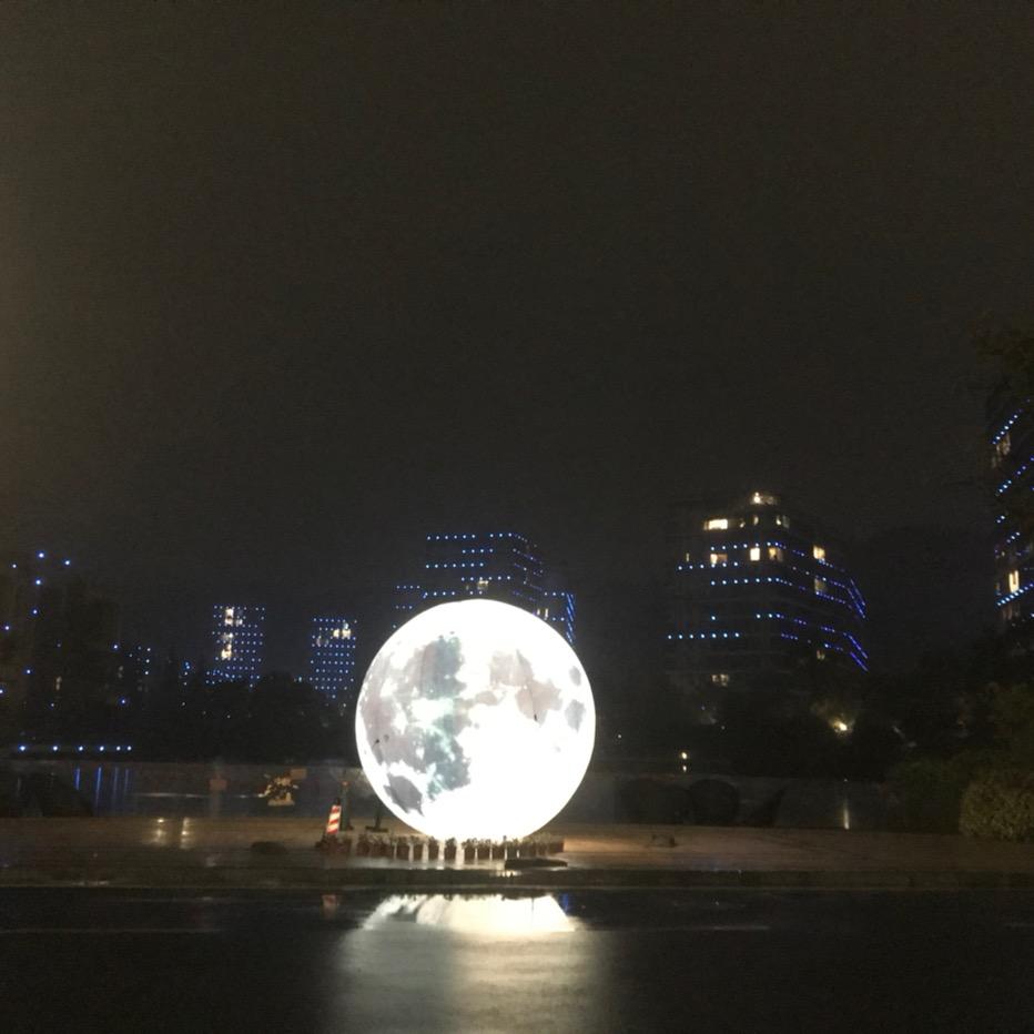 大磊哥