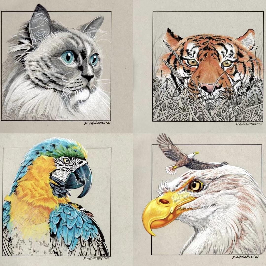 知绘艺术培训学校