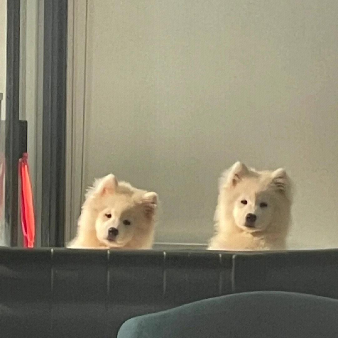 No smoking⸂⸂⸜👊⸝⸃⸃