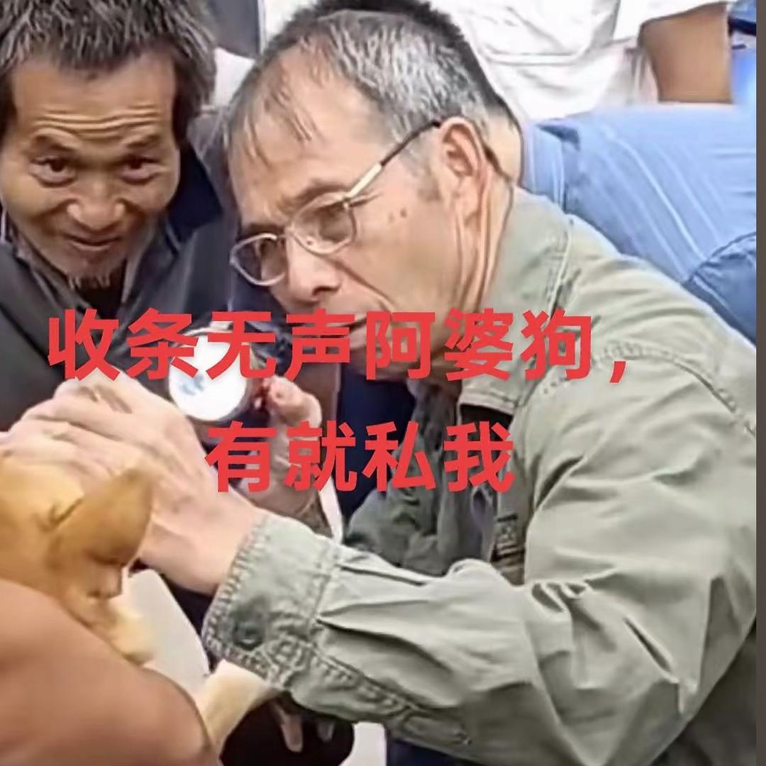 户外大神（土猎犬）啊威