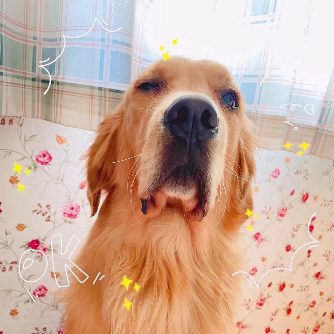 juno
