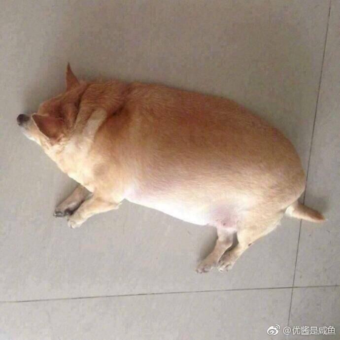 ）