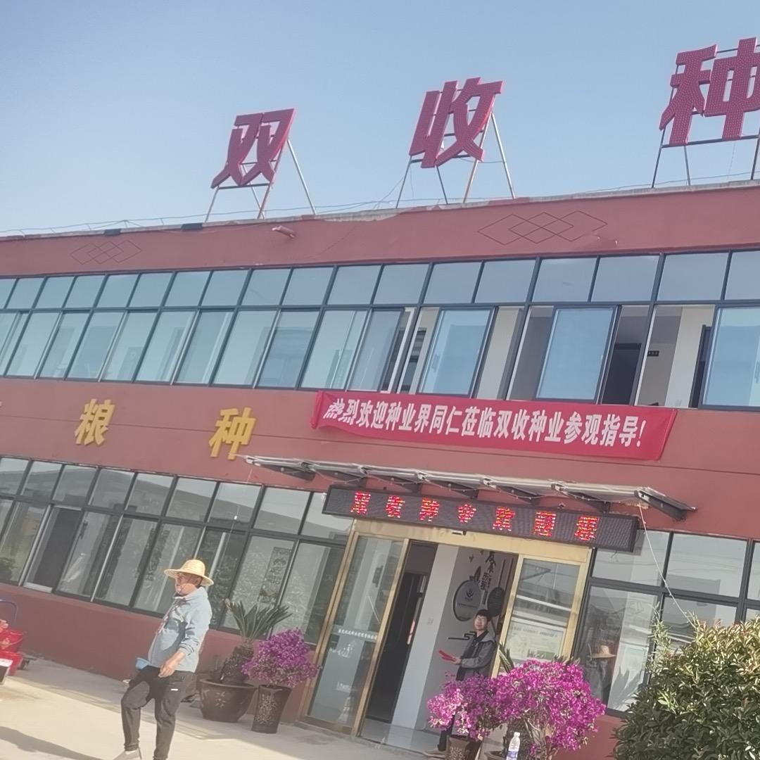 双收种业~朱瑞