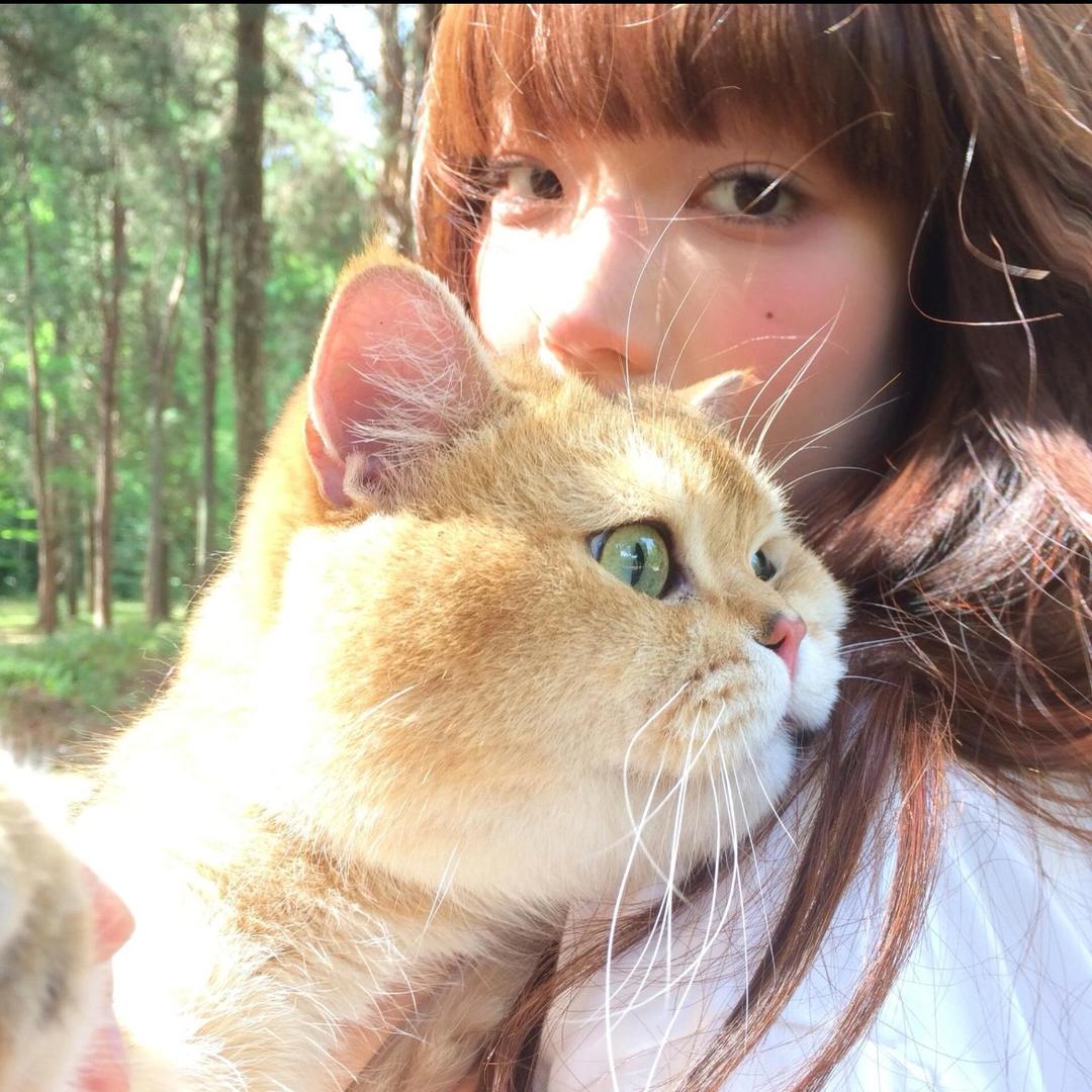 小猪呼噜噜💤