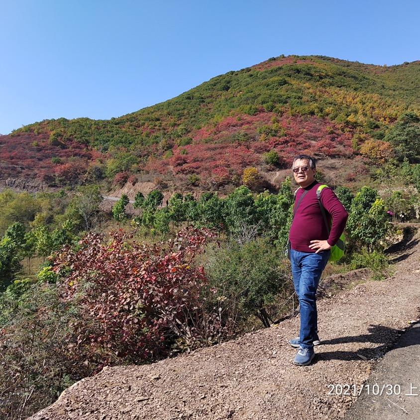 桃花源户外旅游