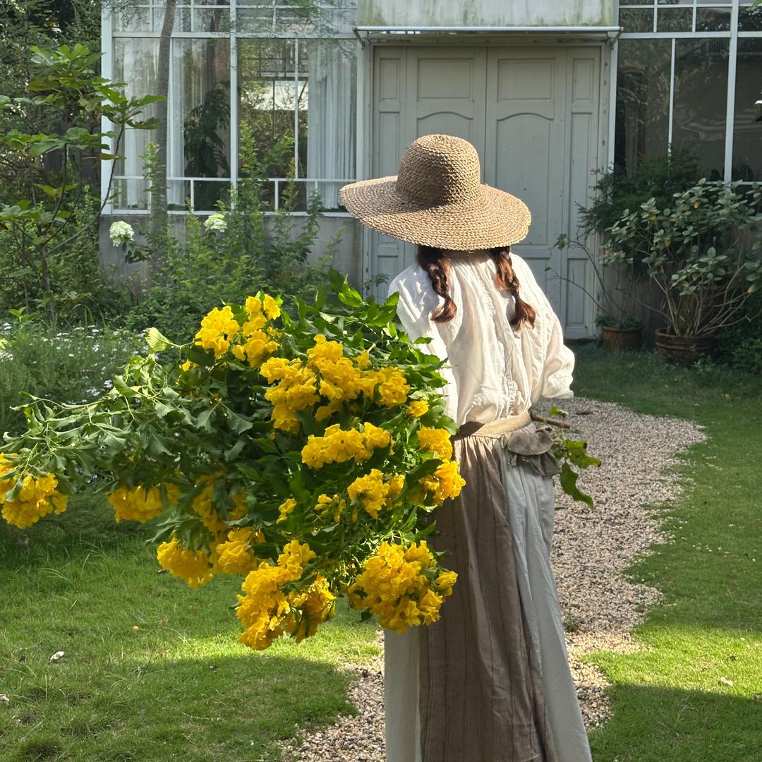丛茉泰来园艺专卖店