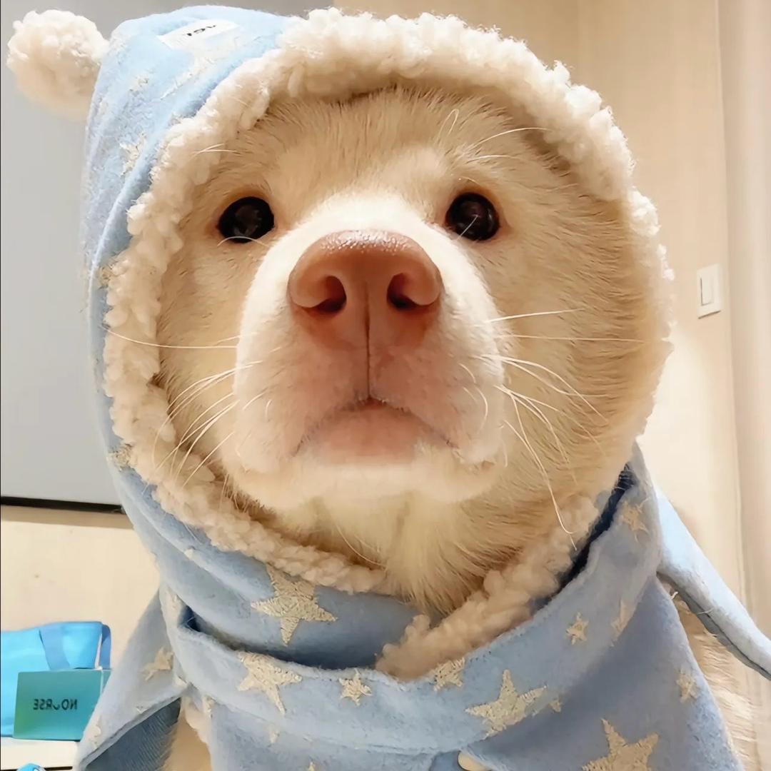 动名词