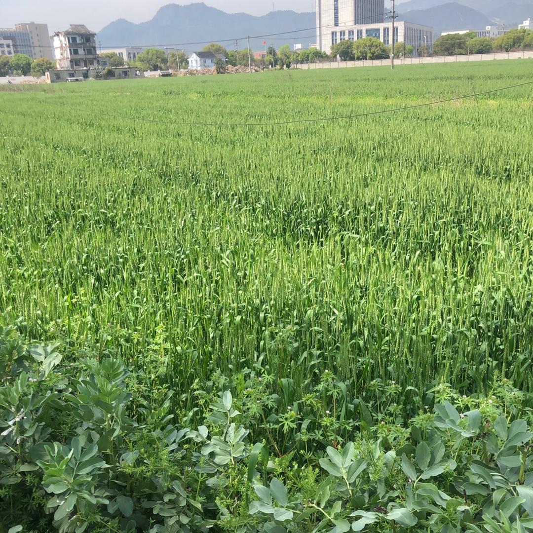 @做人不要坏良心