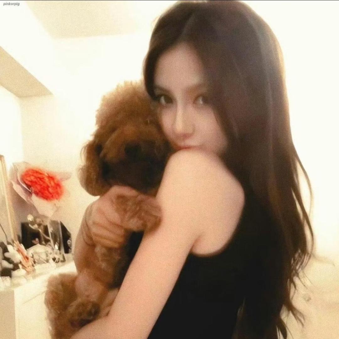 金刚大暴龙战士