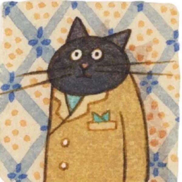 猫猫定理