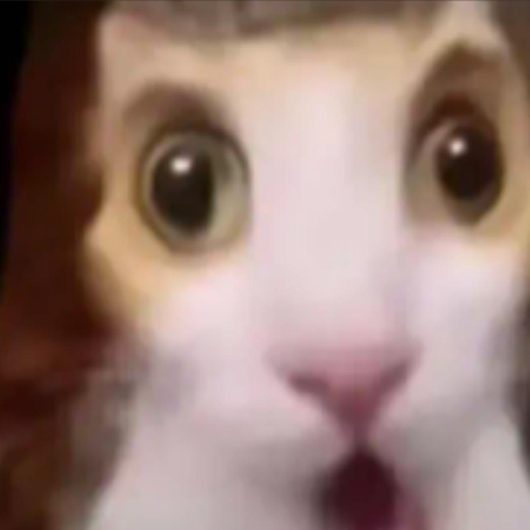 未来