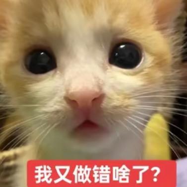 哭uu