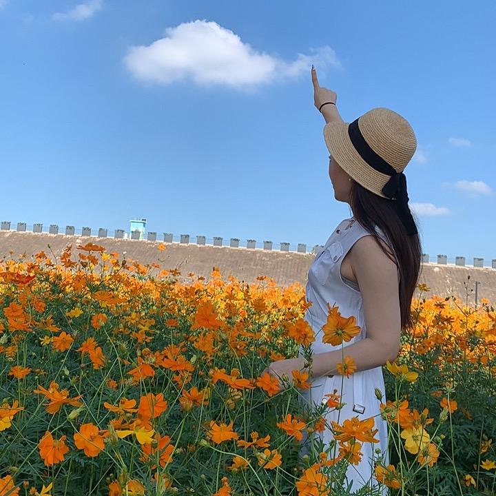 晨曦