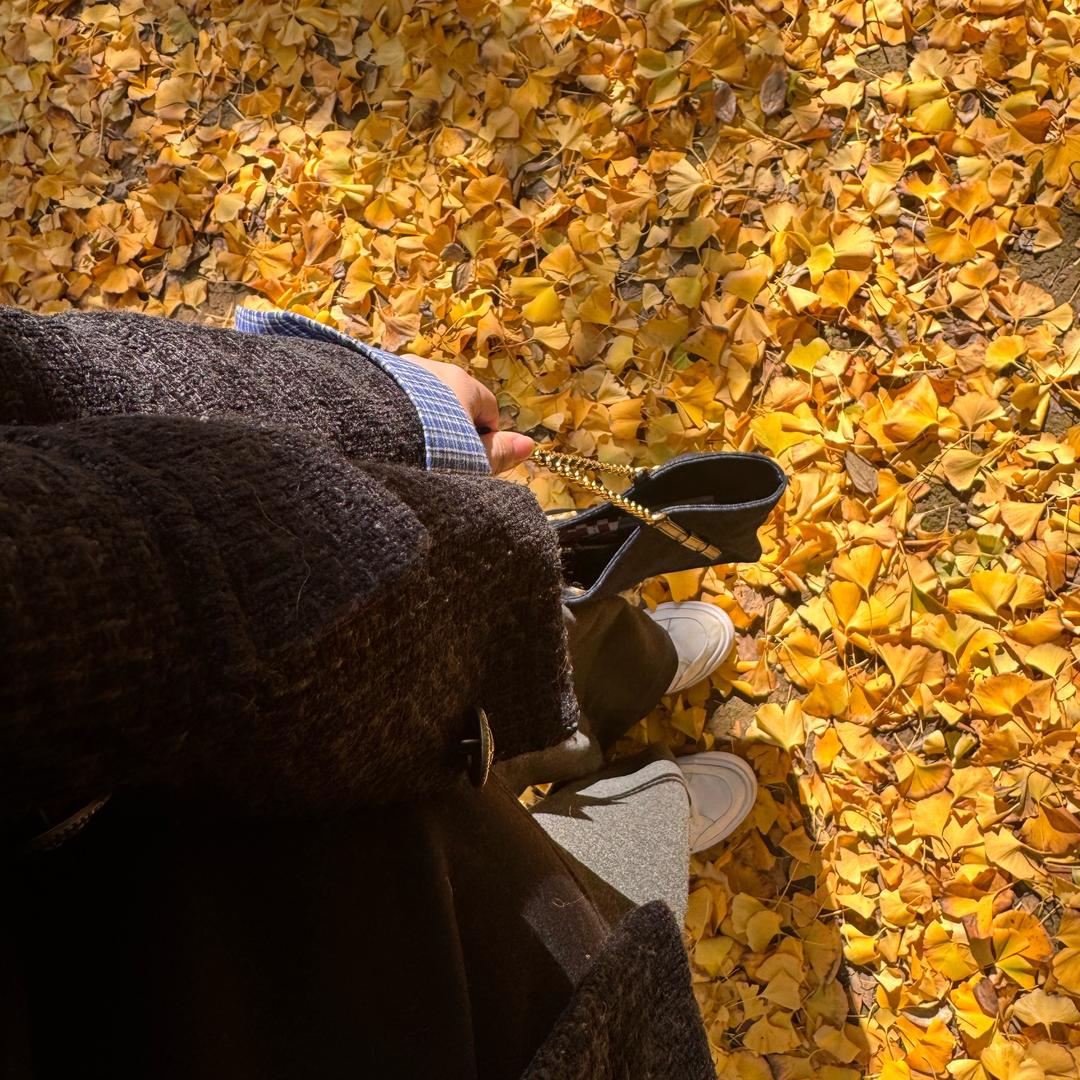 江上雾遮月.