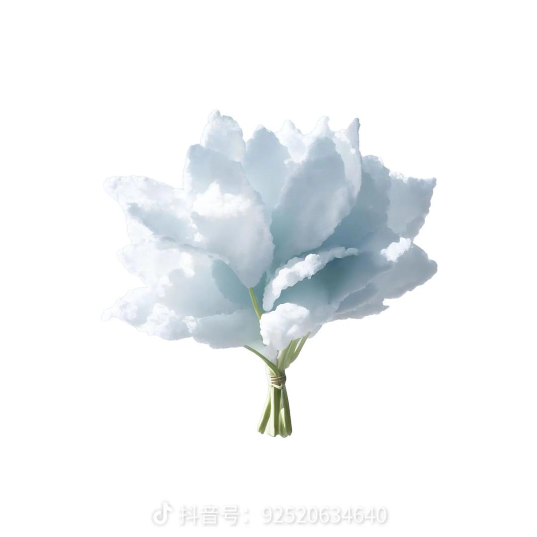 老师，我真没睡觉