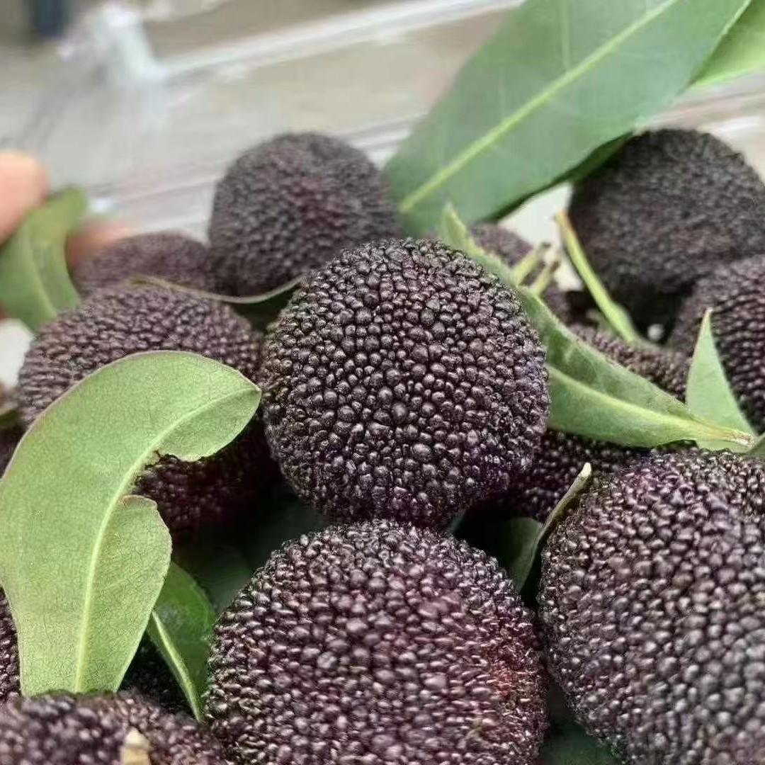 阿豆哥鲜果