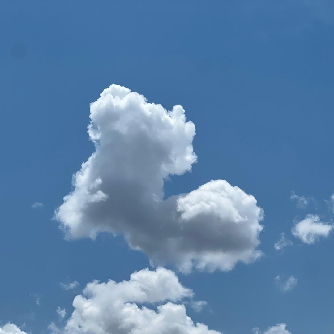 正在发财的路上