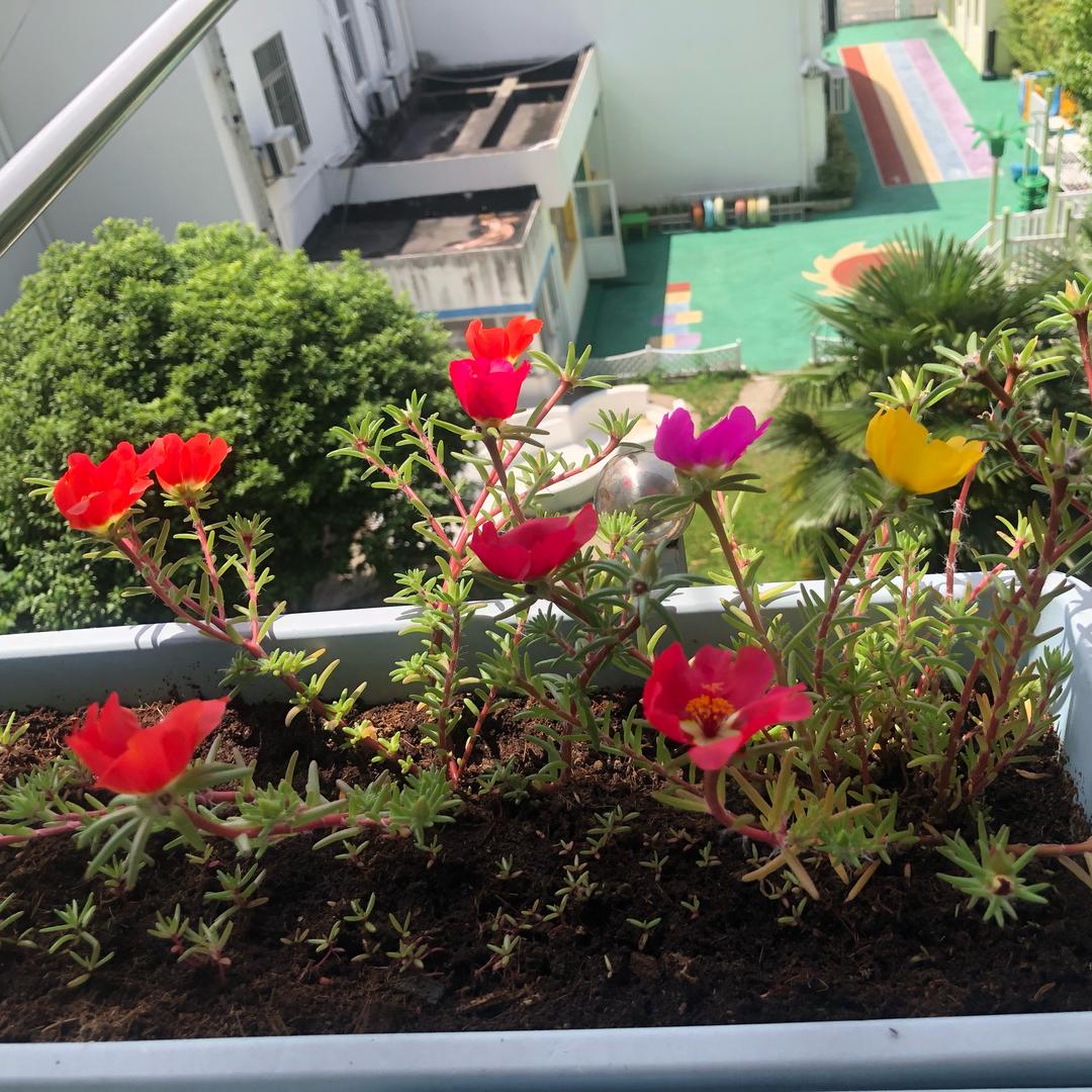 沁园净水超级体验店(宜山路家饰佳)