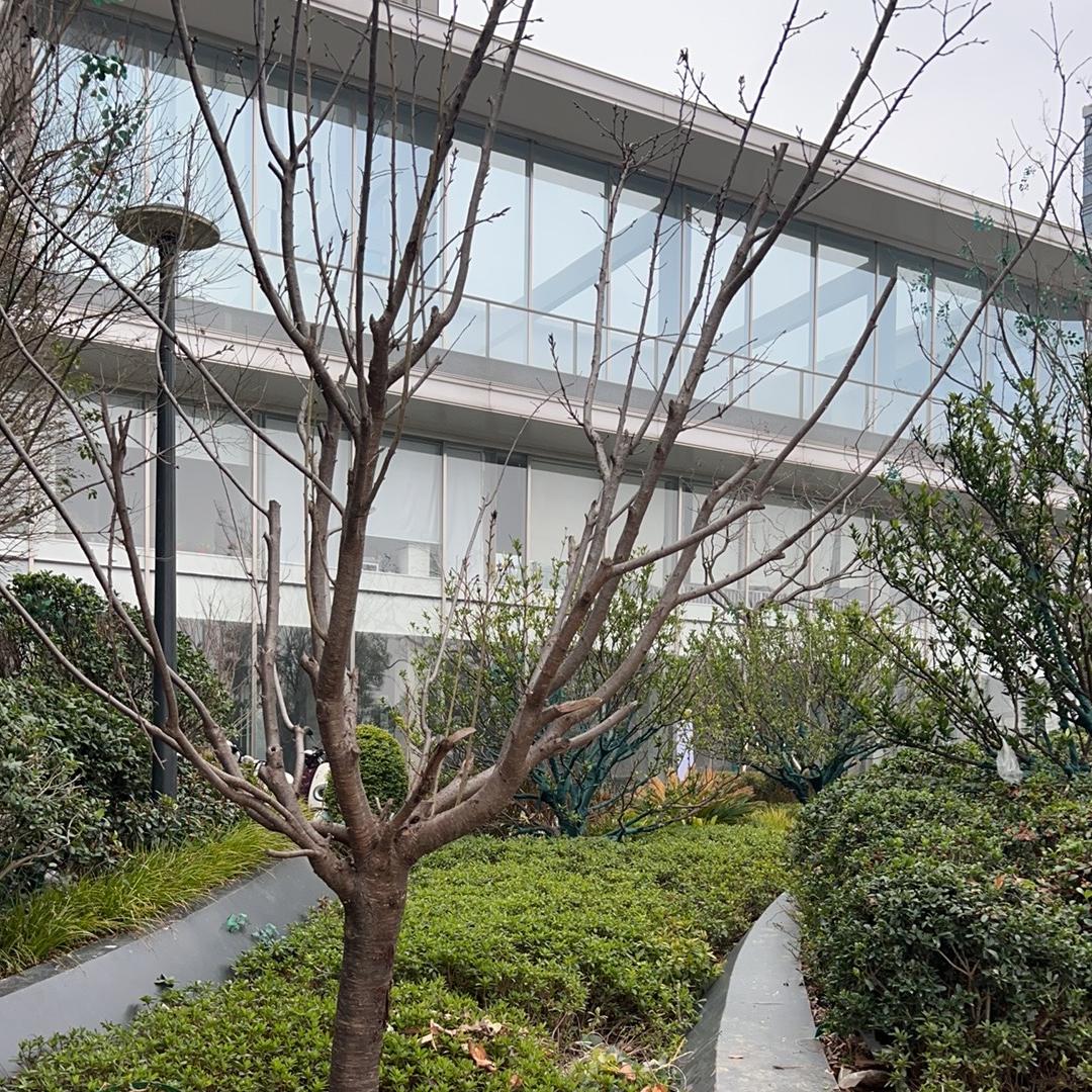 合肥智能装修学院