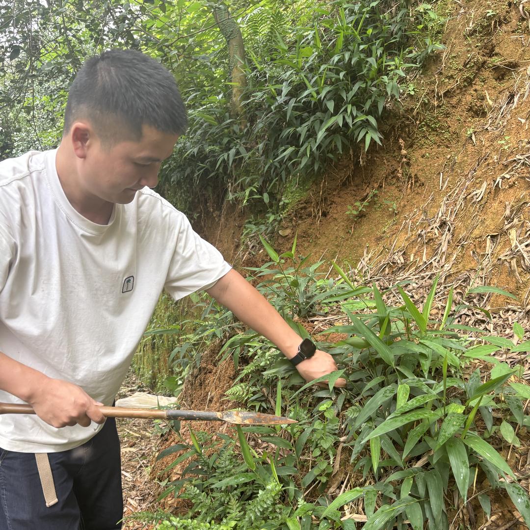 膳鼎祁姝琳滋补专卖店