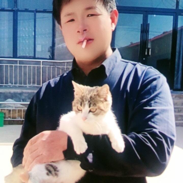 除了努力，别无选择