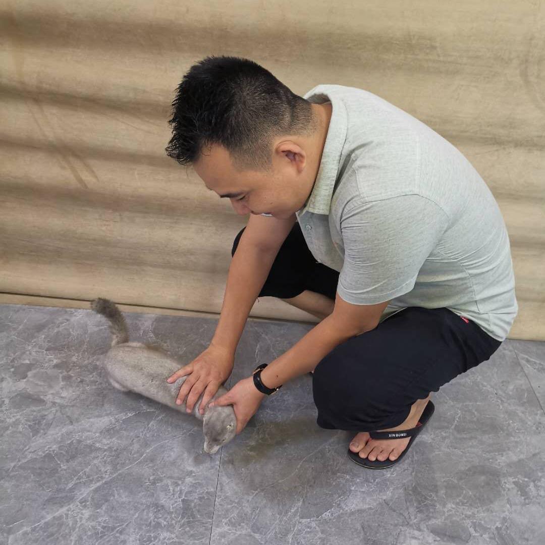 董小厨