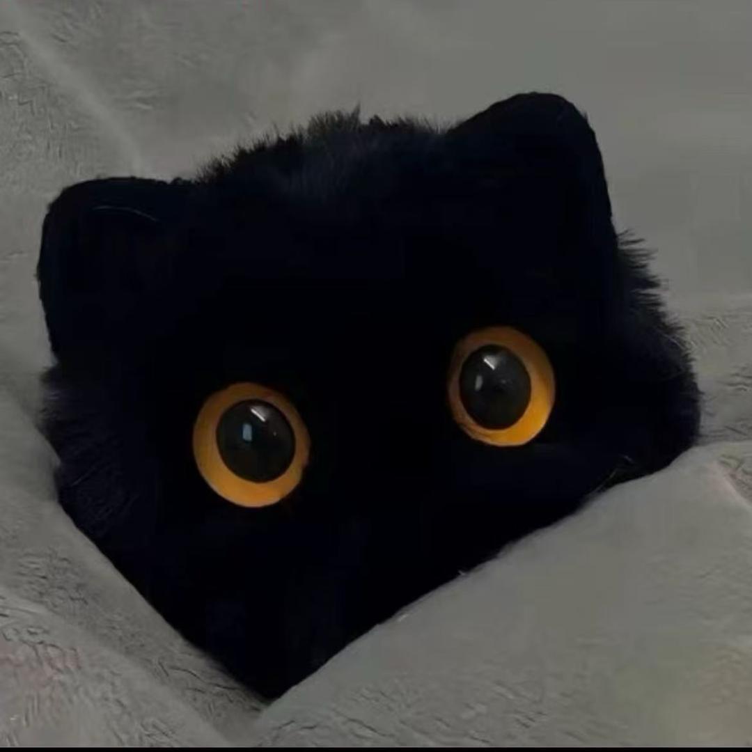 葫芦是只金渐层.