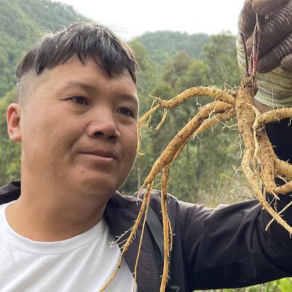 识百草👩‍🌾（每天18点开始直播）