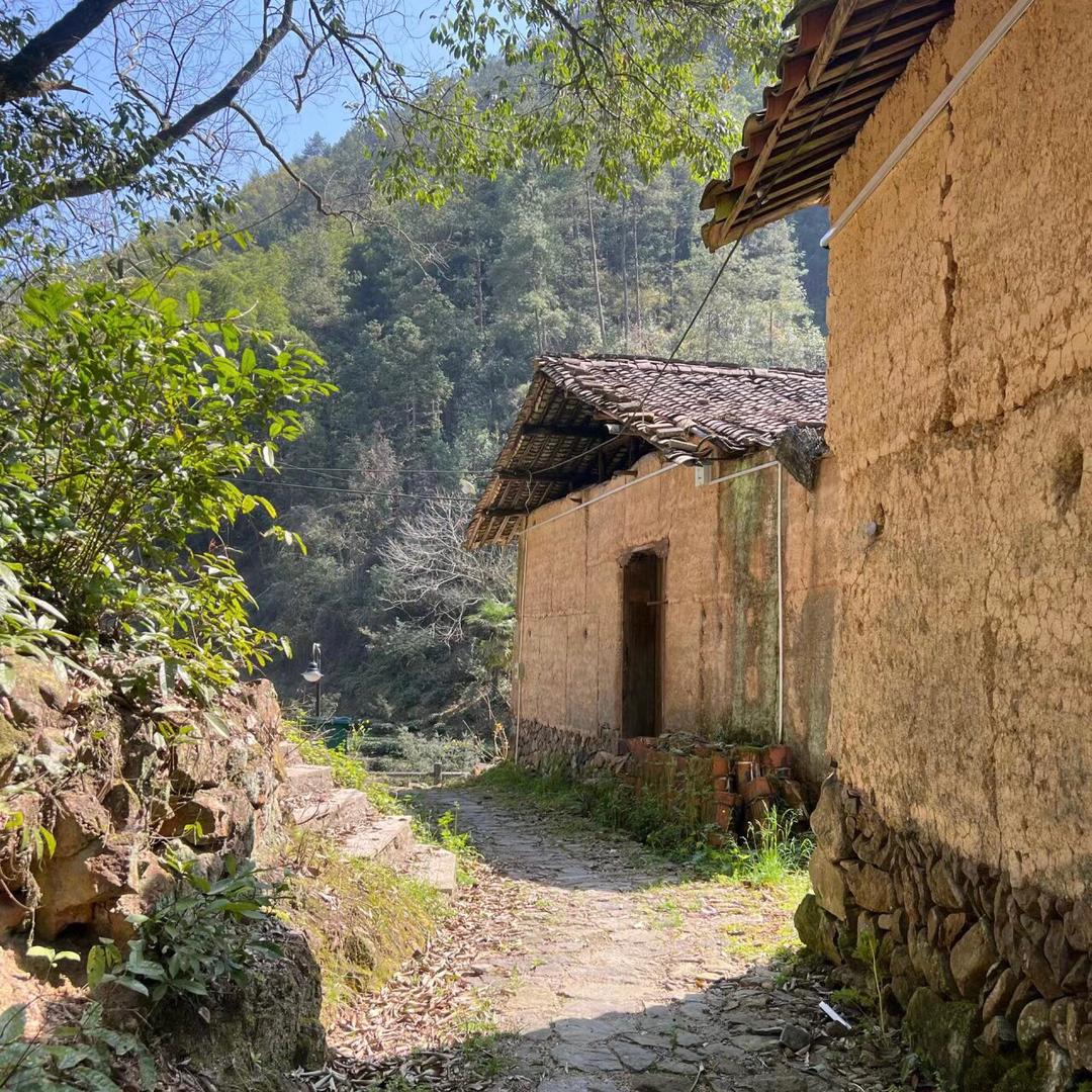 土家老村