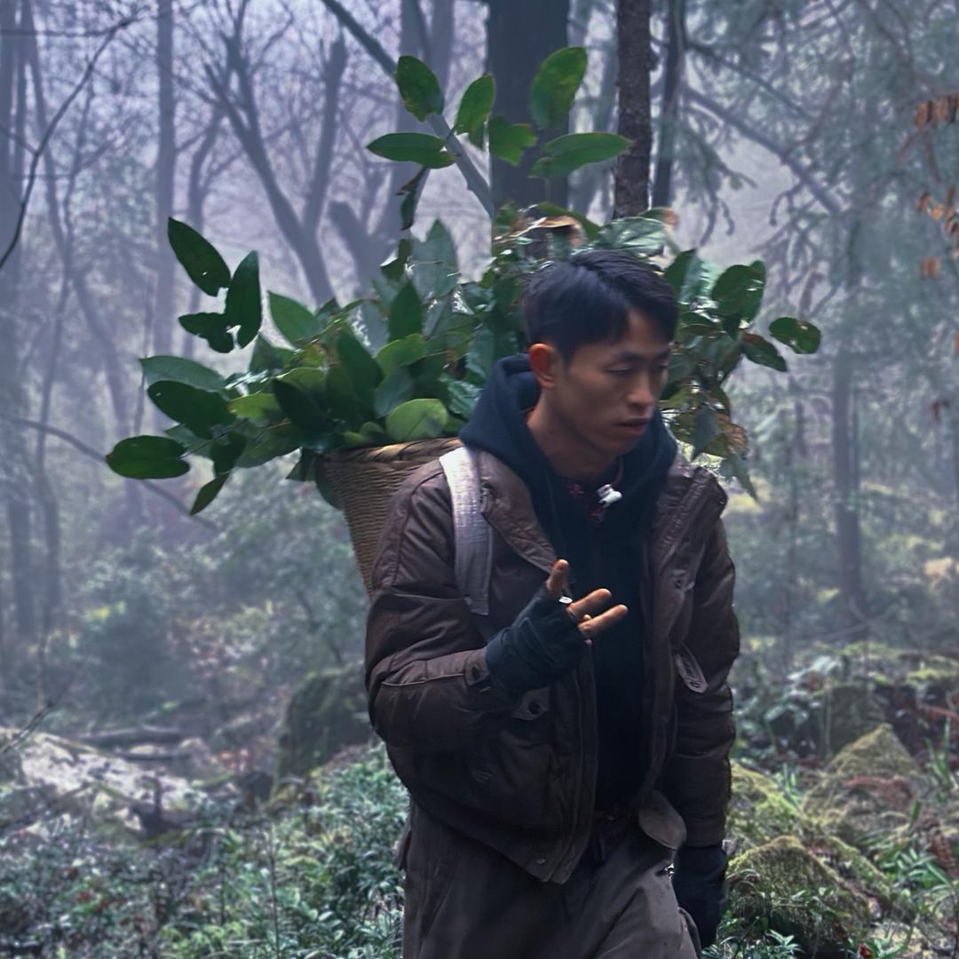 吴子阳（寻百草🌿）