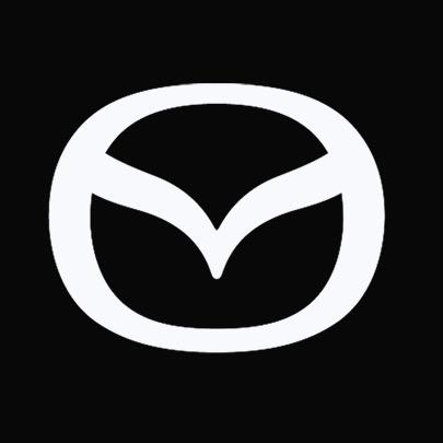 长马新能源淄博安华店