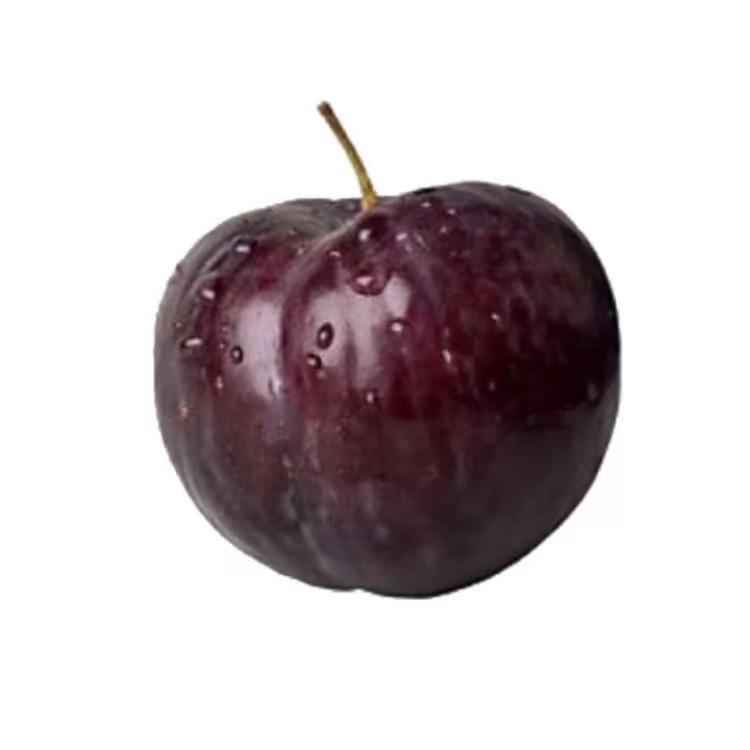H.