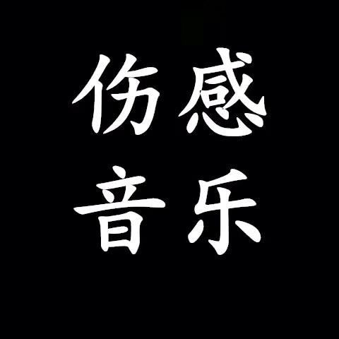 🎵伤感音乐（车载U盘）