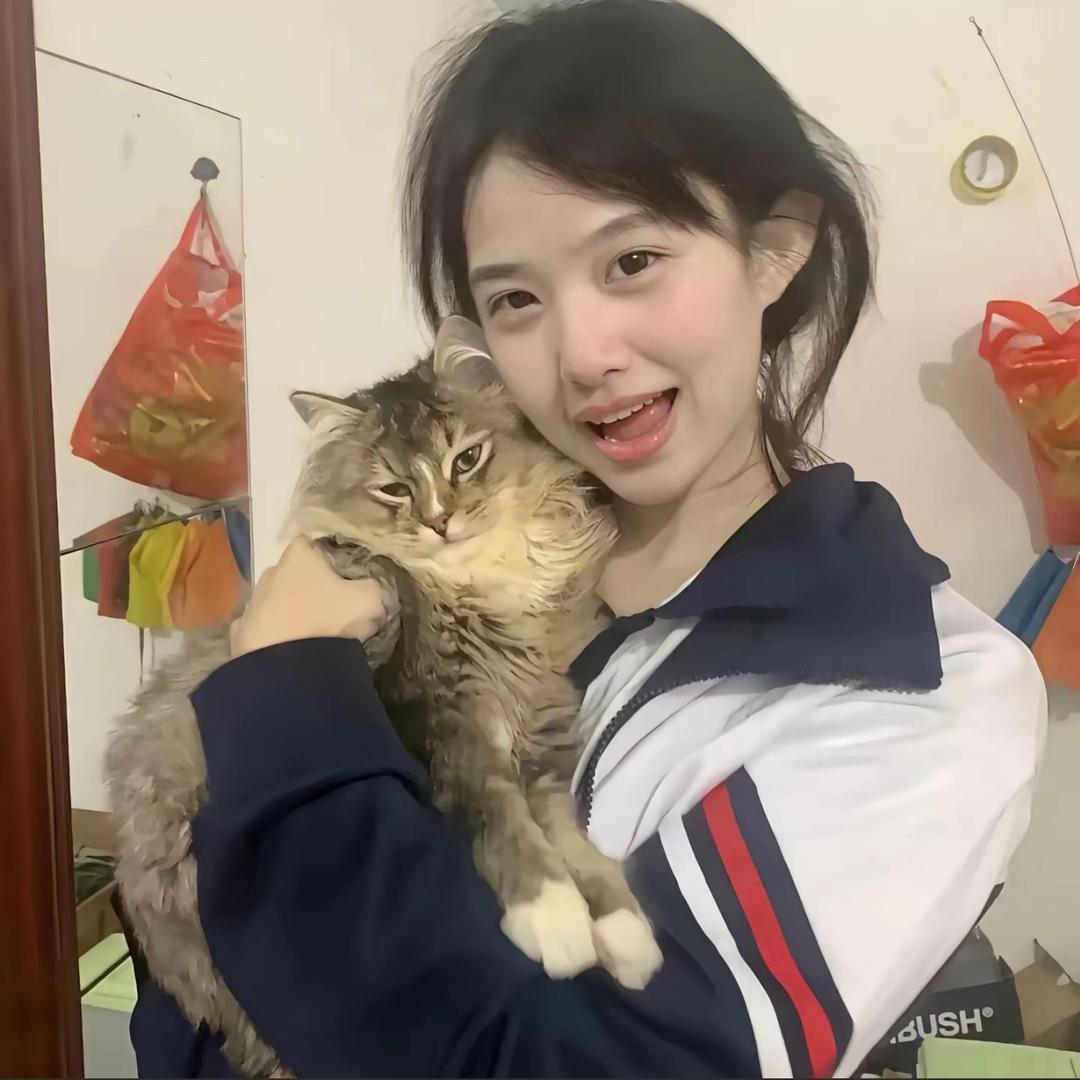 捧玫瑰等雨停