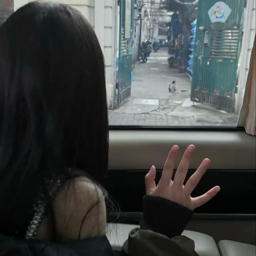 𝗰𝗮𝗧𝗧8𝗶𝗶𝗻.