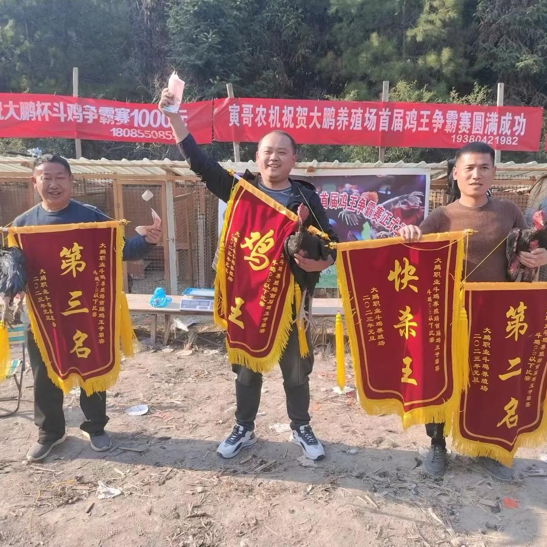 大江精选斗鸡超市