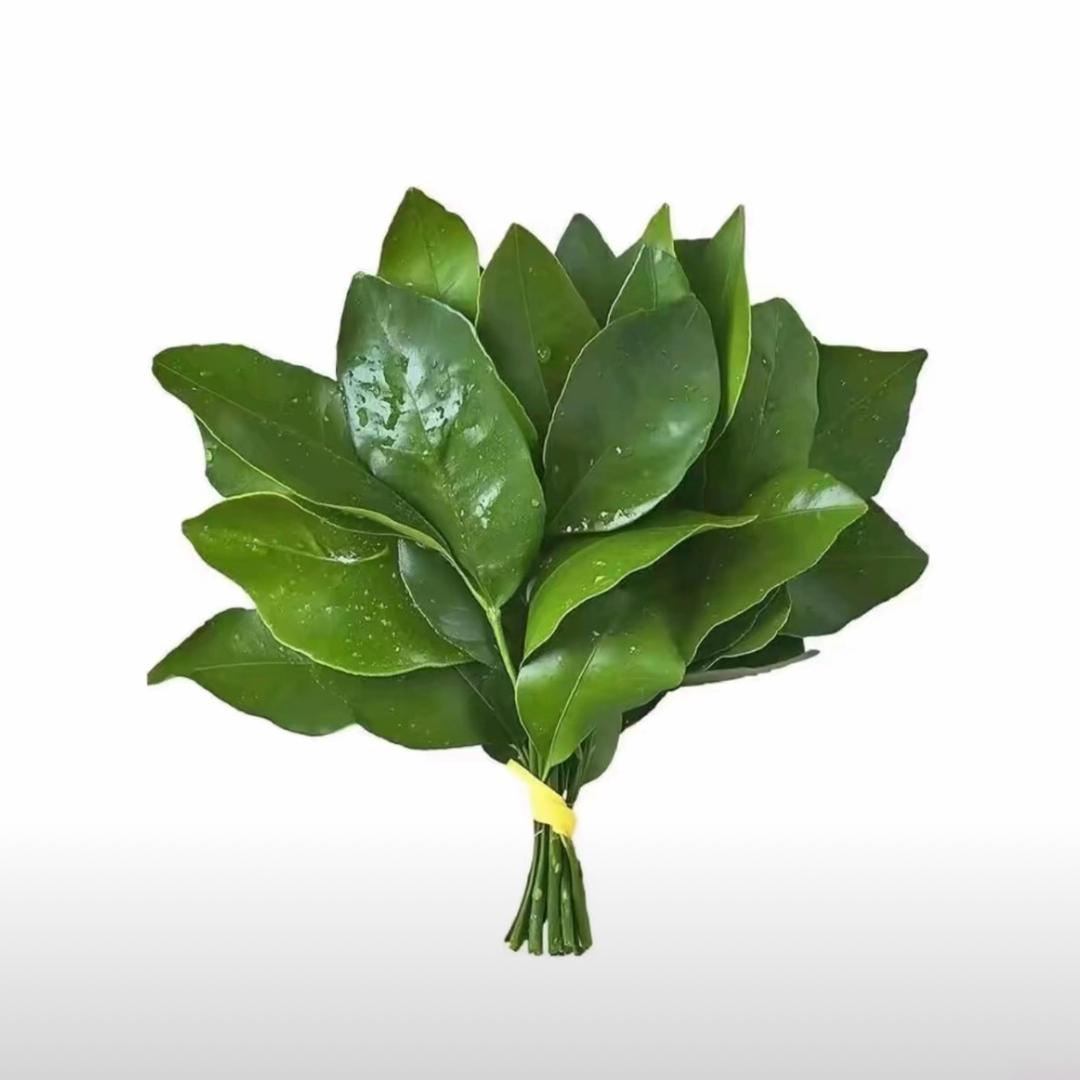 达不溜王.