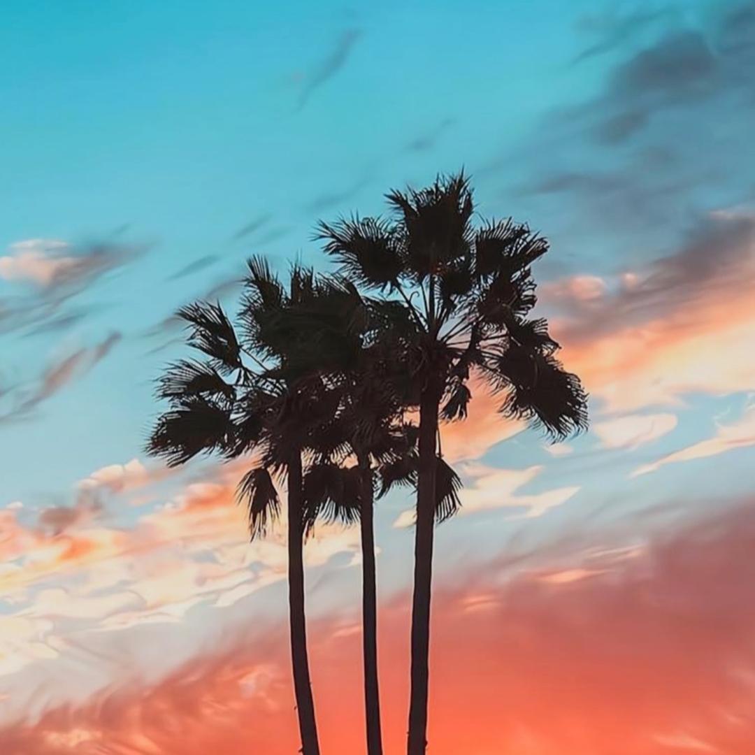 家喜日用百货店