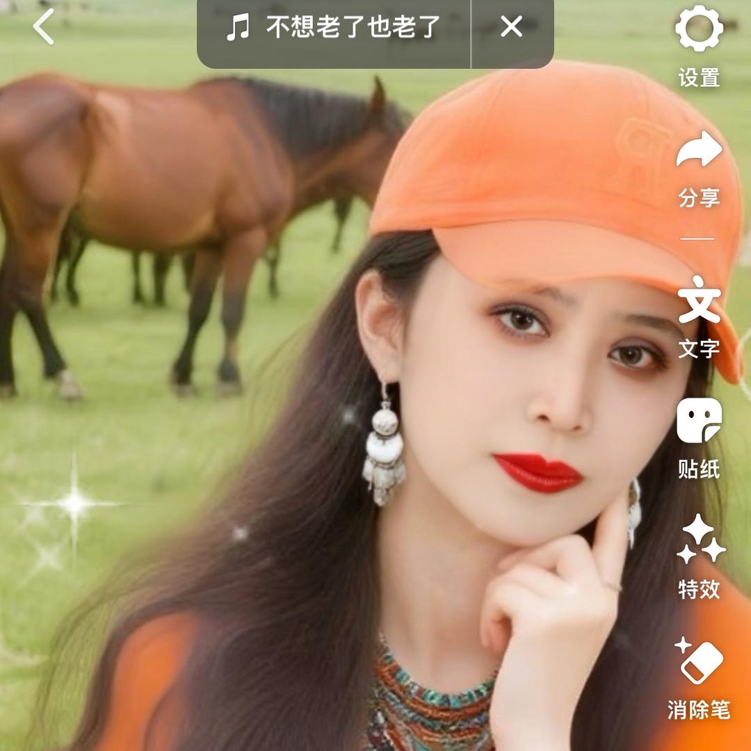 农村阿珍