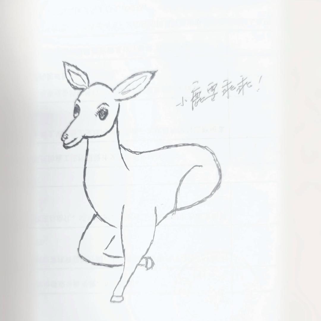 小鹿迷恋提拉米苏 •ᴗ•
