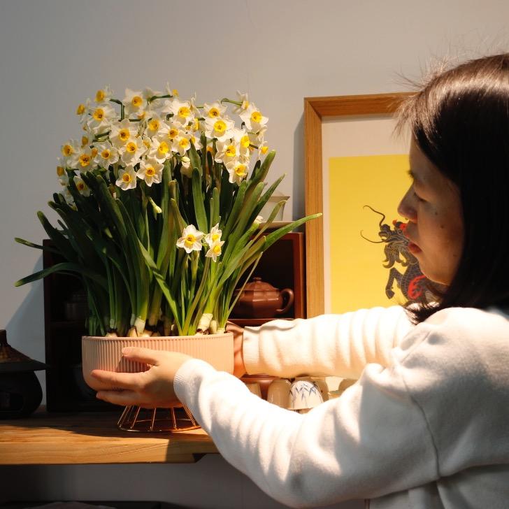 美一花卉
