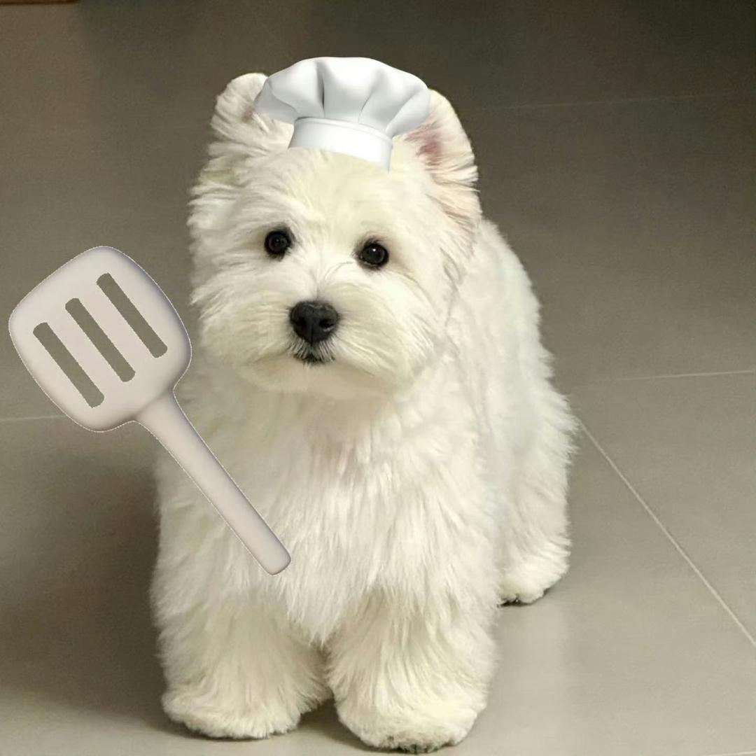 清婉吖