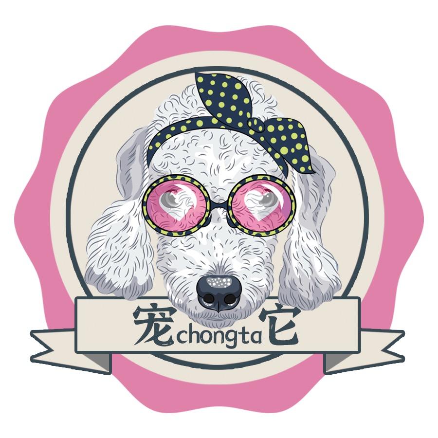宠它宠物美容