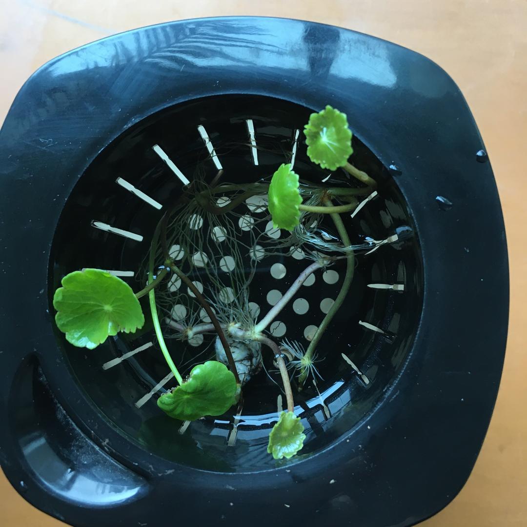 雨中漫步