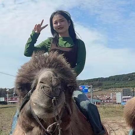 张北牛市春丽（河南人）