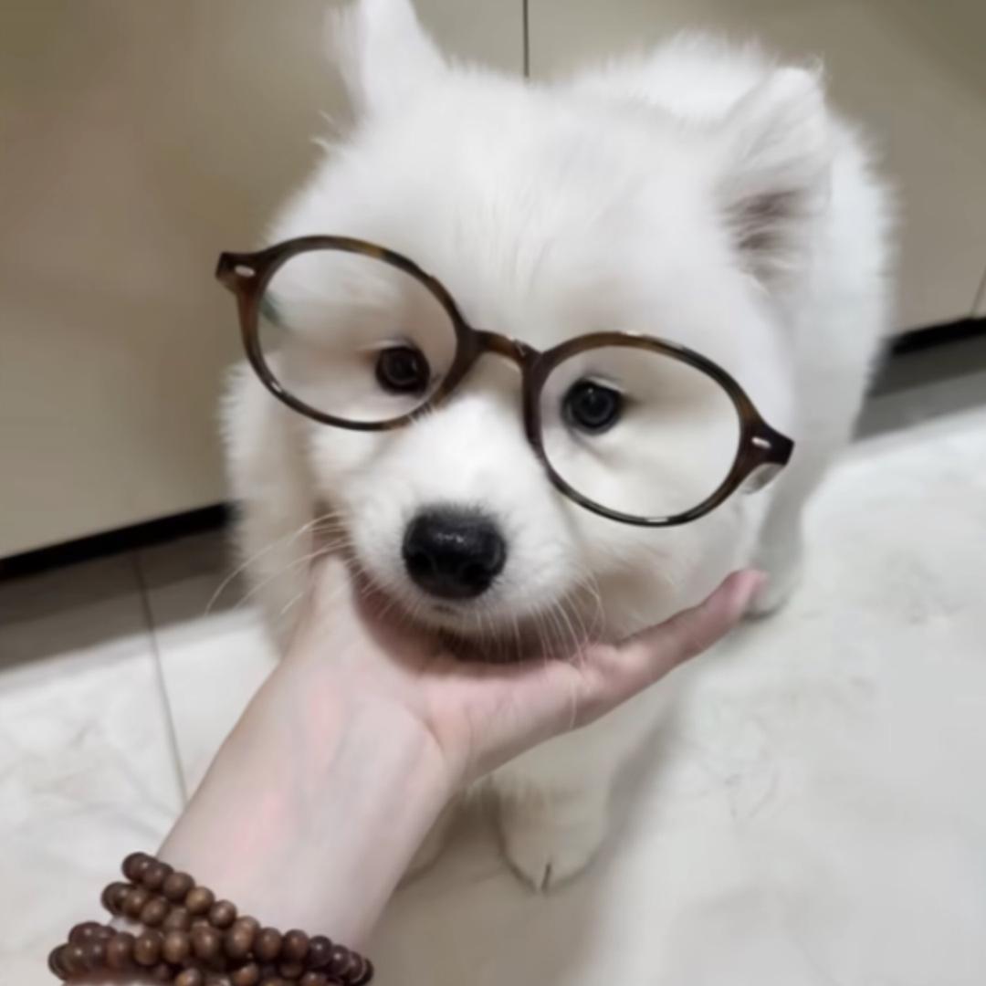 俄罗斯娜娜
