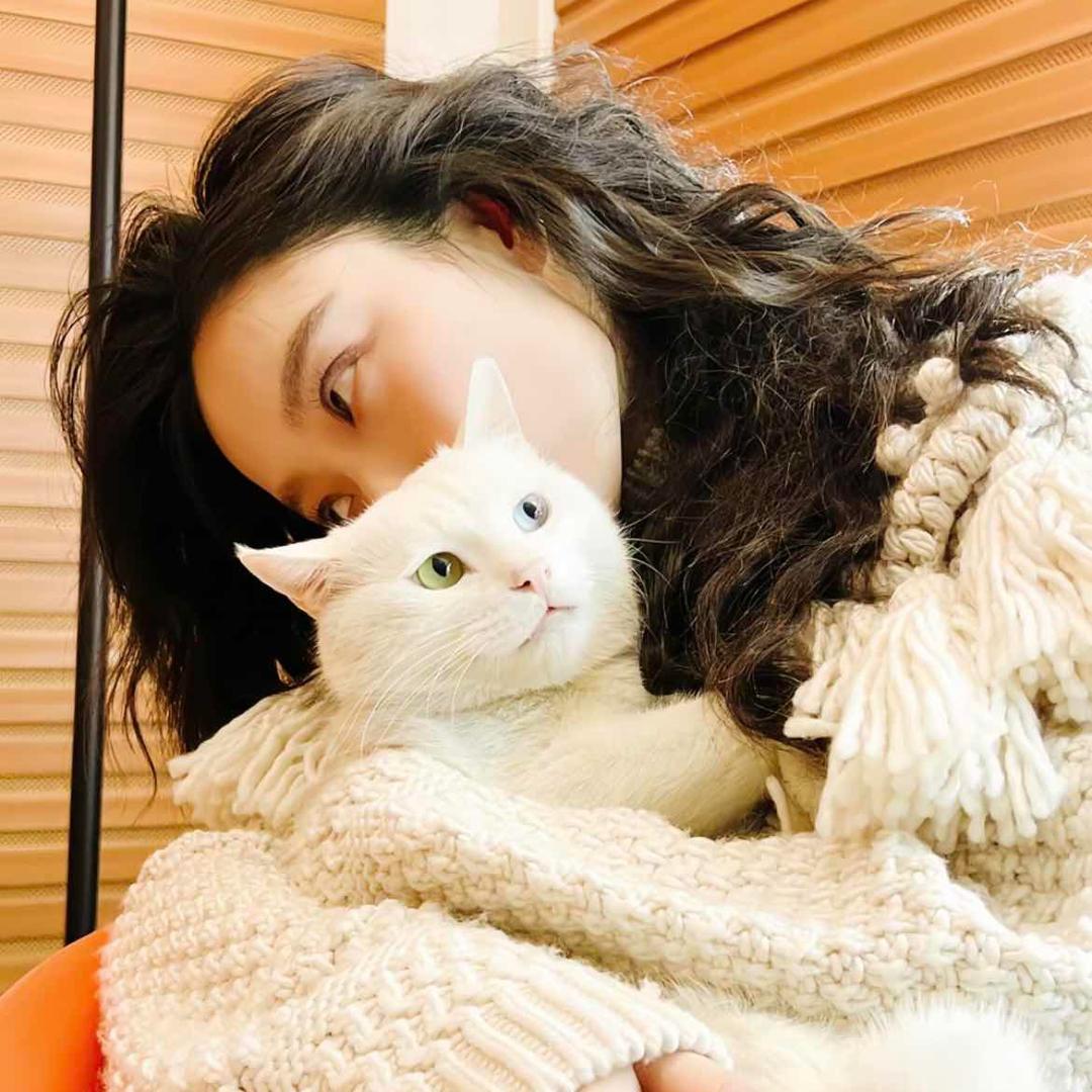 怪怪-
