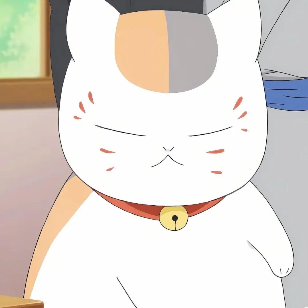 白不黑