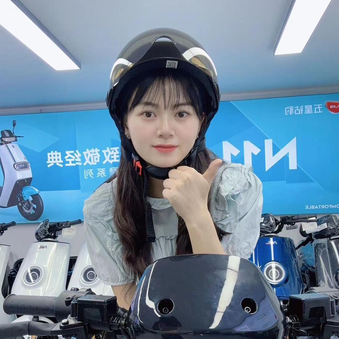 啊文电动车批发